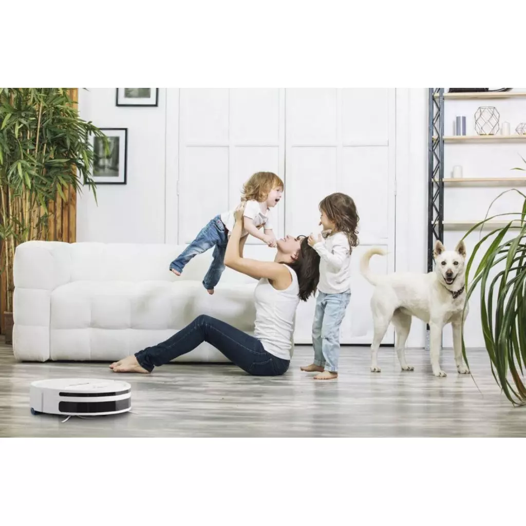 Пылесос Rowenta RR 7747 WH (RR7747WH) - 3