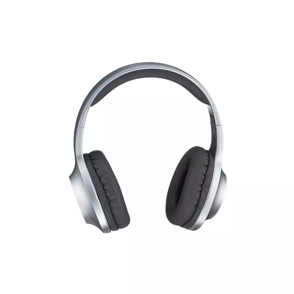 Наушники Panasonic RB-HX220BEE-S Gray (RB-HX220BEE-S) - 2 Наушники Panasonic RB-HX220BEE-S Gray (RB-HX220BEE-S) - 2