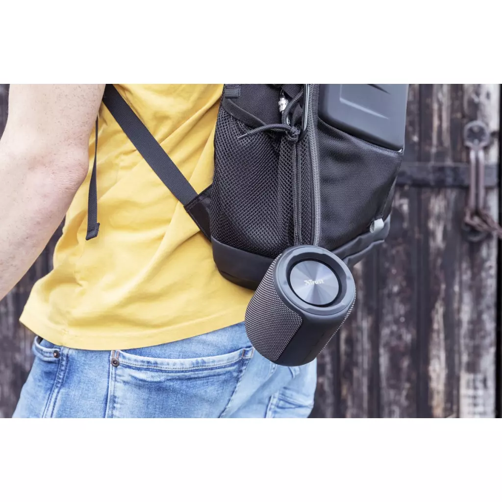 Акустическая система Trust Caro Compact Bluetooth Speaker Black (23834) - 1 Акустическая система Trust Caro Compact Bluetooth Speaker Black (23834) - 1