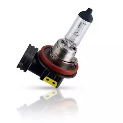 Автолампа PHILIPS H11 LongLife EcoVision, 1шт (12362LLECOB1) - 1 Автолампа PHILIPS H11 LongLife EcoVision, 1шт (12362LLECOB1) - 1