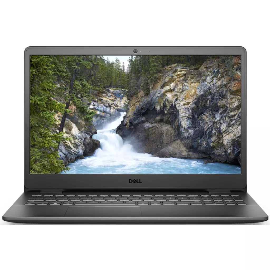 Ноутбук Dell Vostro 3500 (N6003VN3500ERC_WP)