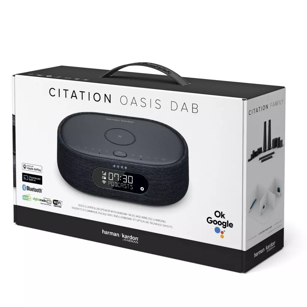 Акустическая система Harman Kardon Citation Oasis Black (HKCITAOASISBLKEU) - 5 Акустическая система Harman Kardon Citation Oasis Black (HKCITAOASISBLKEU) - 5