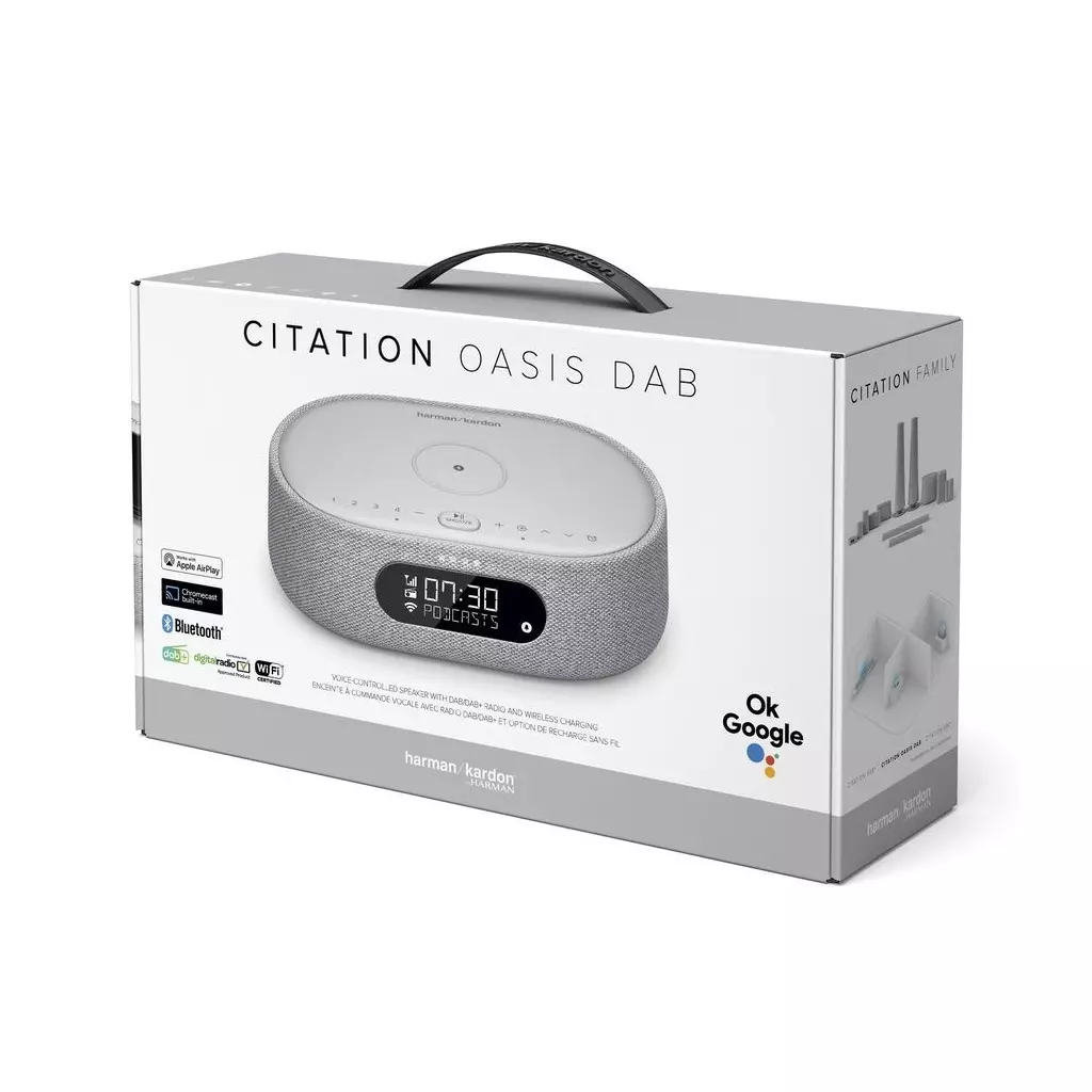 Акустическая система Harman Kardon Citation Oasis Grey (HKCITAOASISGRYEU) - 5 Акустическая система Harman Kardon Citation Oasis Grey (HKCITAOASISGRYEU) - 5