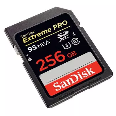 Карта памяти SanDisk 256GB SDXC Extreme Pro UHS-I U3 Class10 (SDSDXPA-256G-G46) - 1