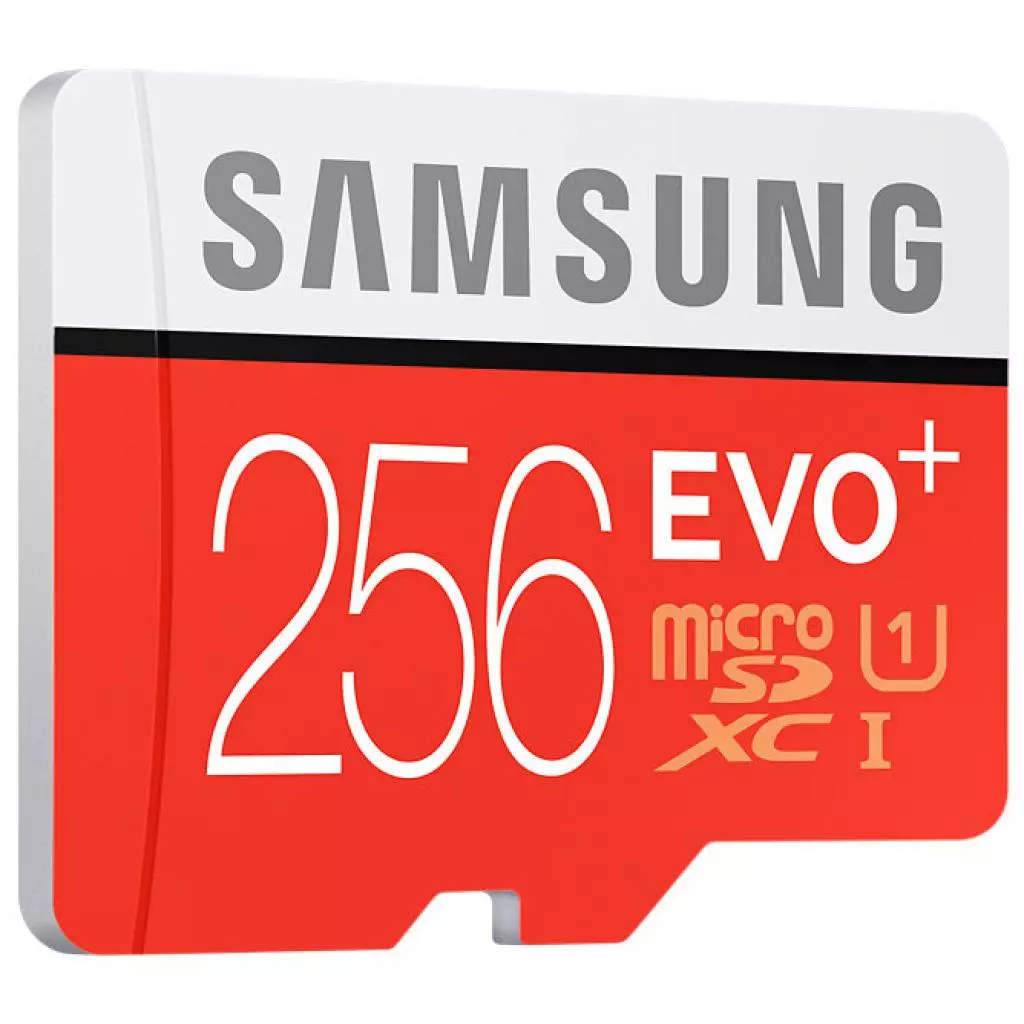 Карта памяти Samsung 256GB microSDXC class 10 UHS-I EVO PLUS (MB-MC256DA/RU) - 1