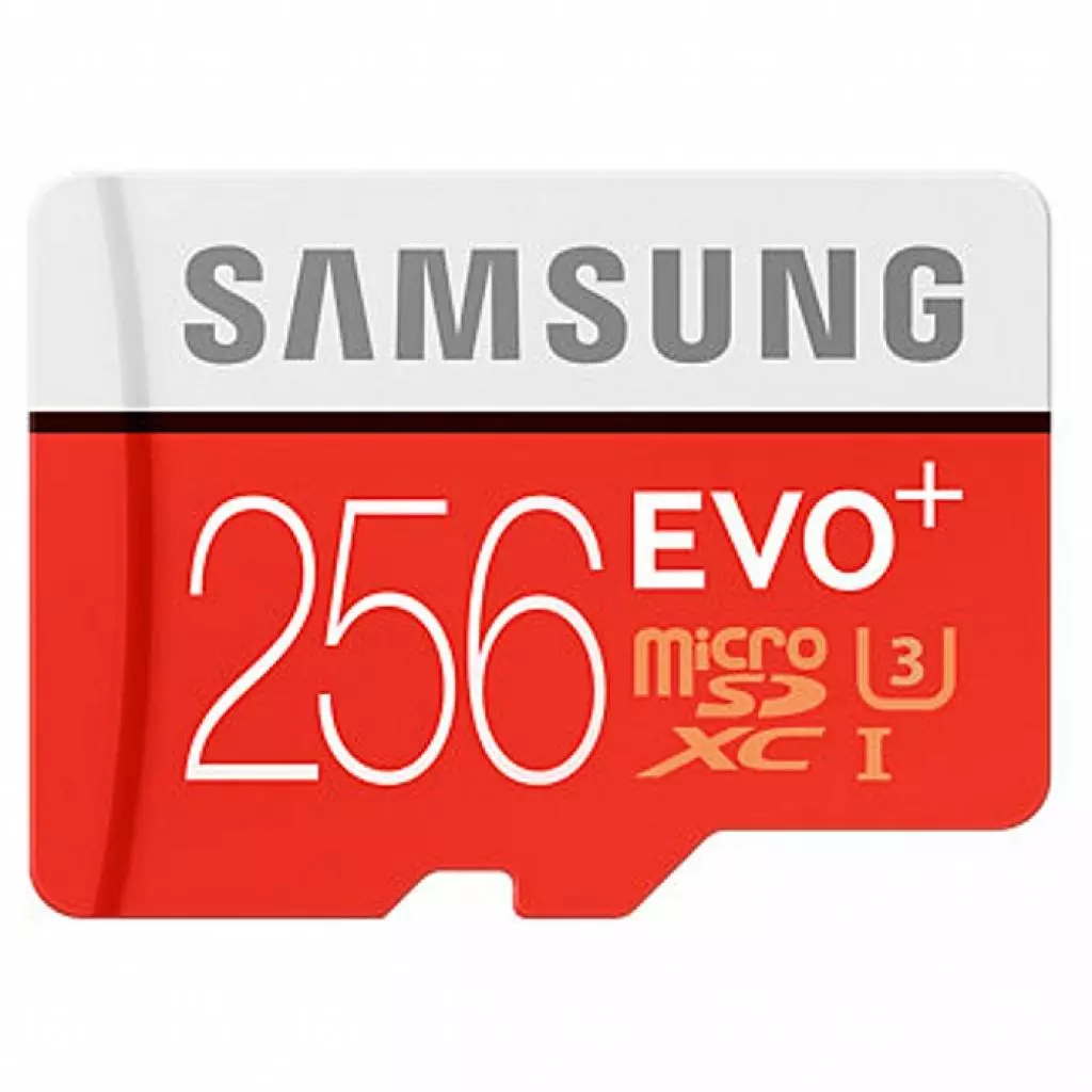 Карта памяти Samsung 256GB microSDXC class 10 UHS-I EVO PLUS (MB-MC256DA/RU)