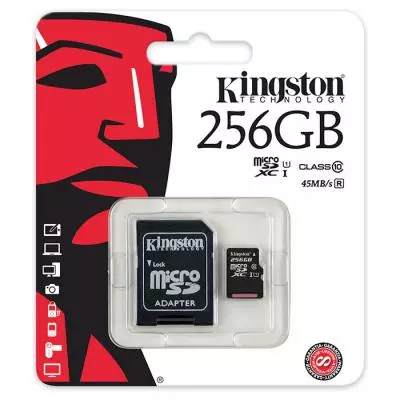 Карта памяти Kingston 256GB microSDXC class 10 UHS-I (SDC10G2/256GB) - 2