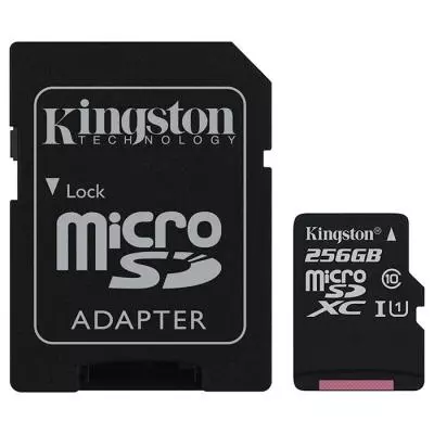 Карта памяти Kingston 256GB microSDXC class 10 UHS-I (SDC10G2/256GB)
