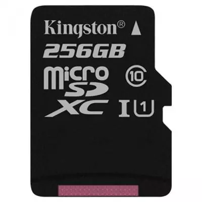 Карта памяти Kingston 256GB microSDXC Class 10 UHS-I (SDC10G2/256GBSP)