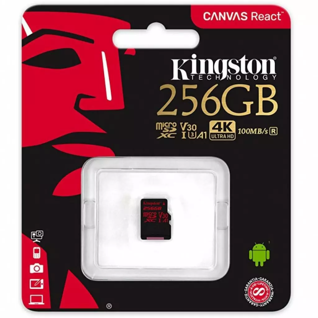 Карта памяти Kingston 256GB microSDXC class 10 UHS-I U3 (SDCR/256GBSP) - 1