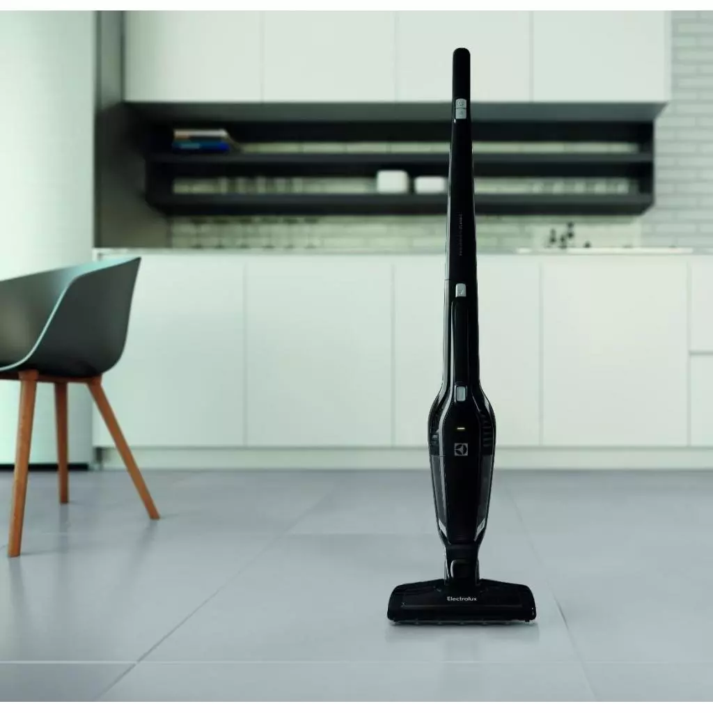 Пылесос Electrolux EERC70EB - 1
