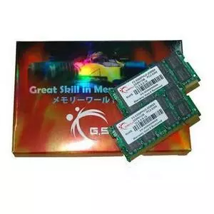 Модуль памяти для ноутбука SoDIMM DDR2 1GB 667 MHz G.Skill (F2-5300PHU1-1GBSA)