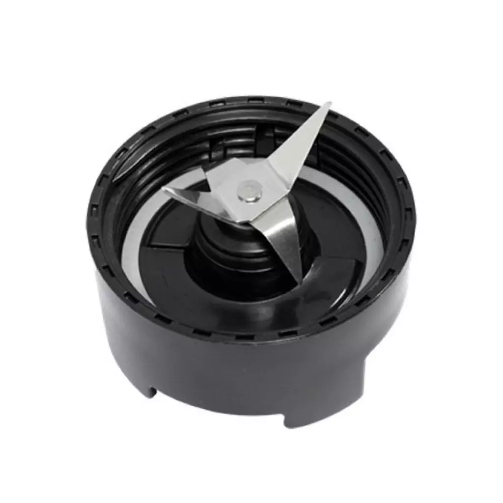 Блендер Electrolux ESB 2450 (ESB2450) - 2