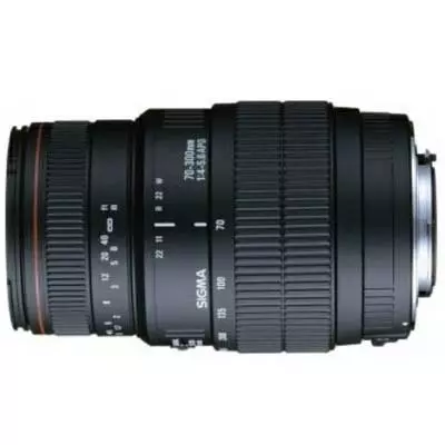 Объектив Sigma AF 70-300 f/4-5.6 DG MACRO for Nikon (5A9955)