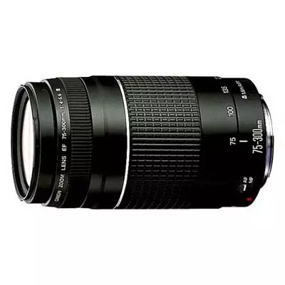 Объектив Canon EF 75-300mm f/4-5.6 III (6473A015)