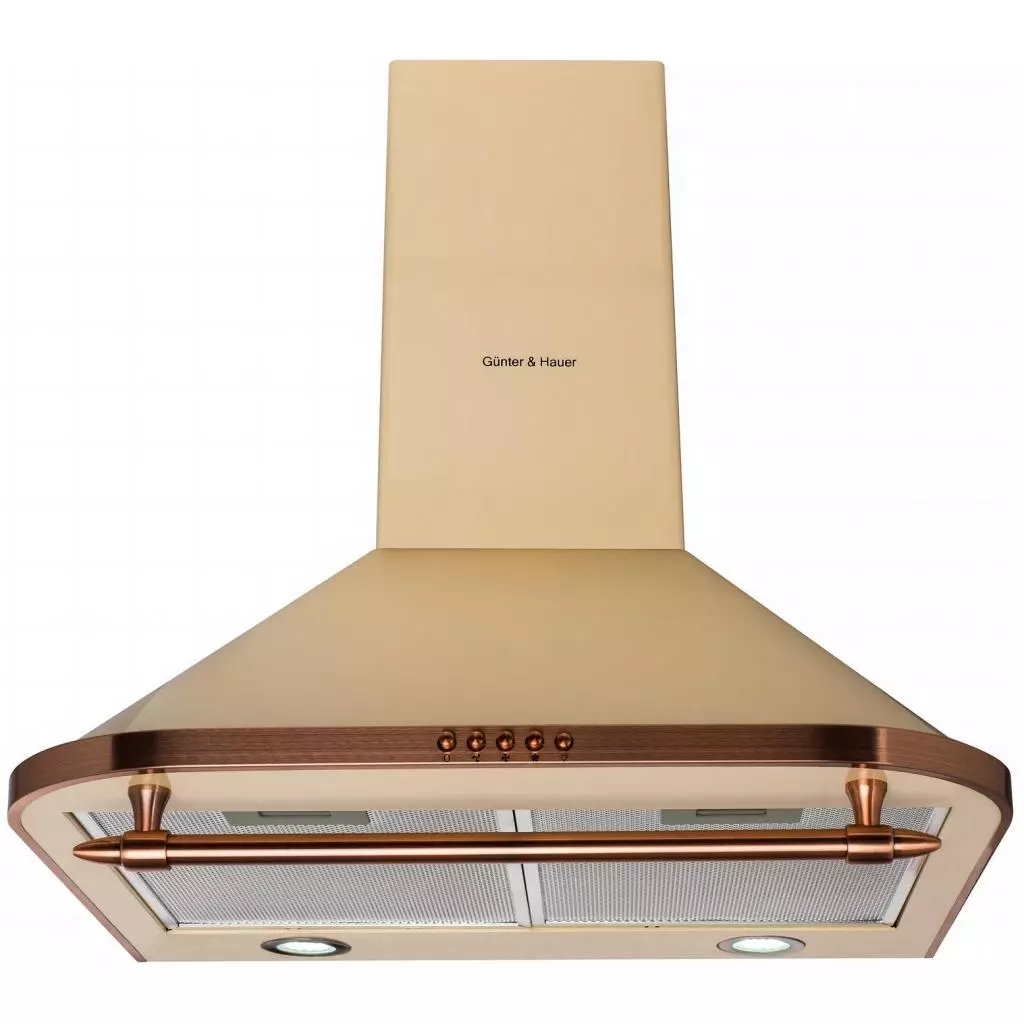 Вытяжка кухонная Gunter&Hauer RAFAELLA 60 IVR