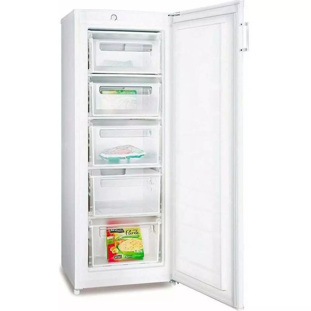 Морозильная камера Hisense RS-20DC4SBA/CPA1 - 1