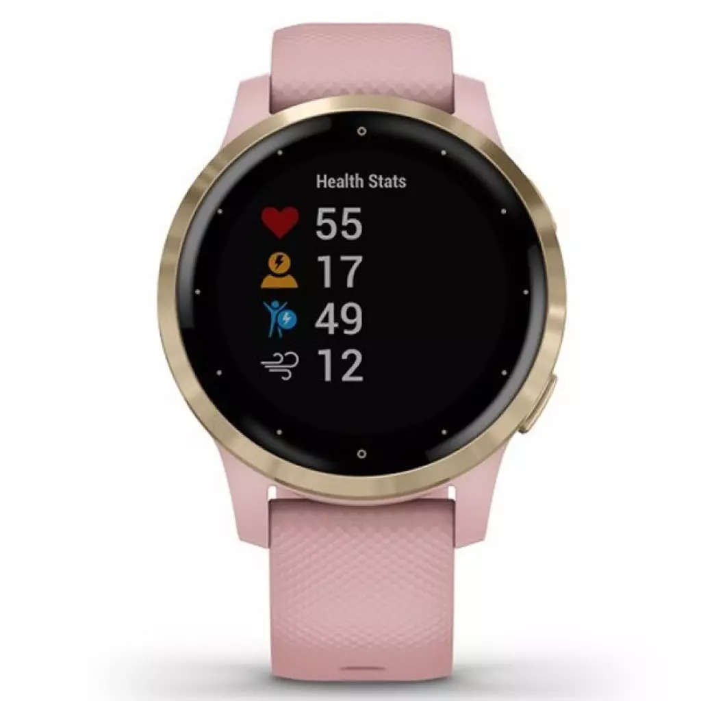 Смарт-часы Garmin vivoactive 4S, Dust Rose/Light Gold (010-02172-33) - 1