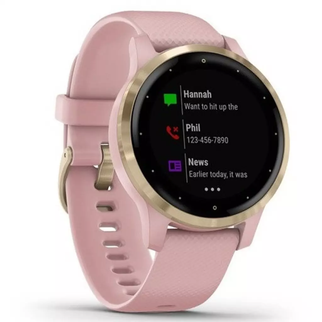 Смарт-часы Garmin vivoactive 4S, Dust Rose/Light Gold (010-02172-33) - 2