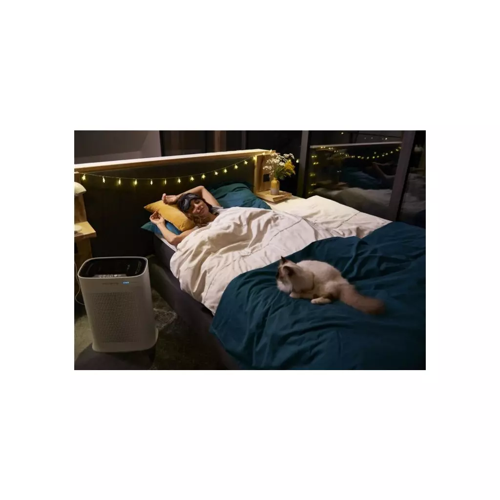 Воздухоочиститель Rowenta PU3040F0 - 1