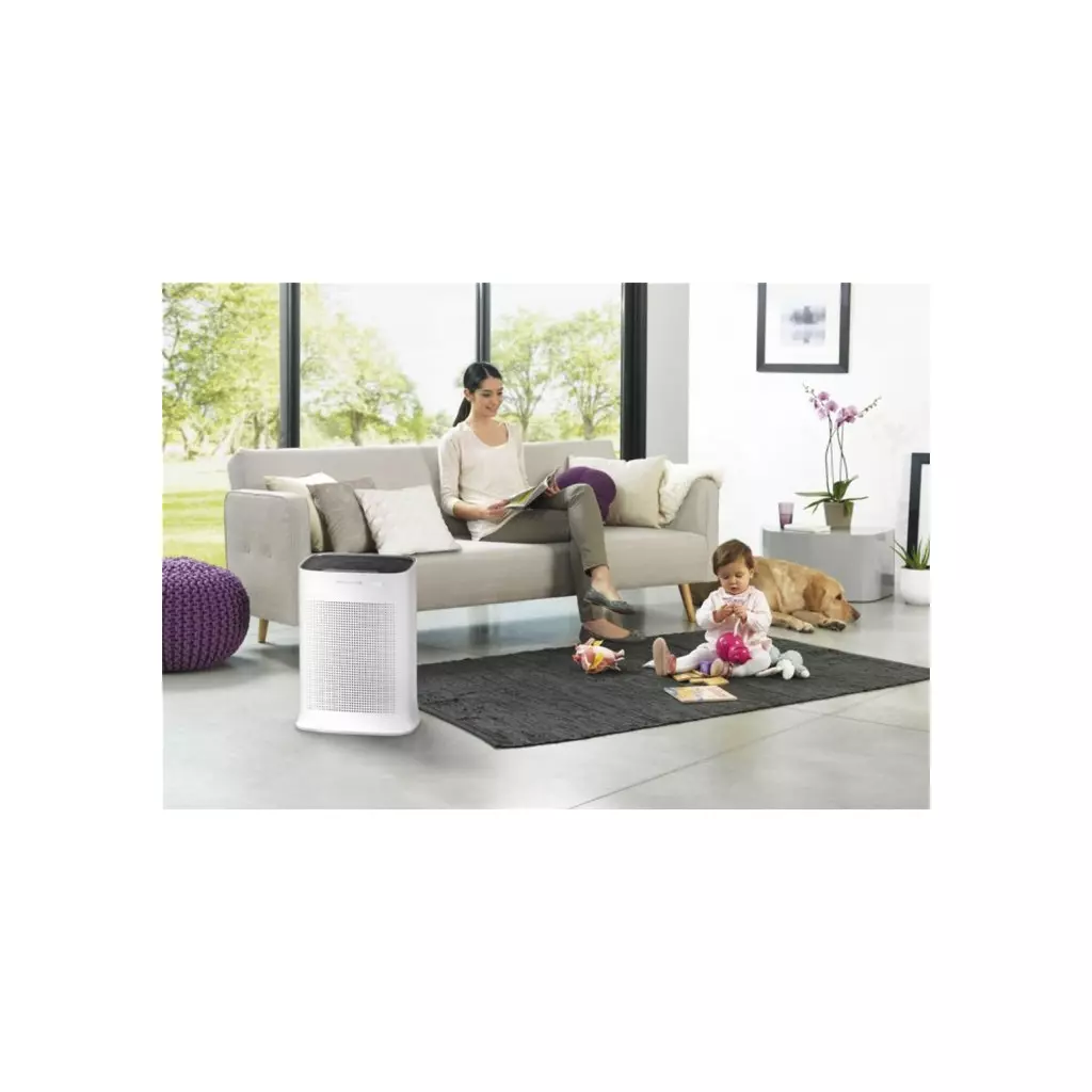 Воздухоочиститель Rowenta PU3040F0 - 2