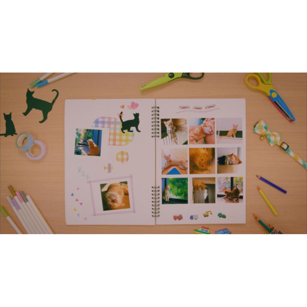 Картридж Canon XS-20L Ink/Paper Set - 20 Prints (4119C002) - 4