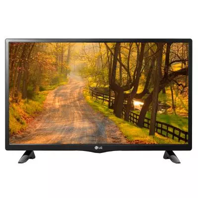 Телевизор LG 24LH450U