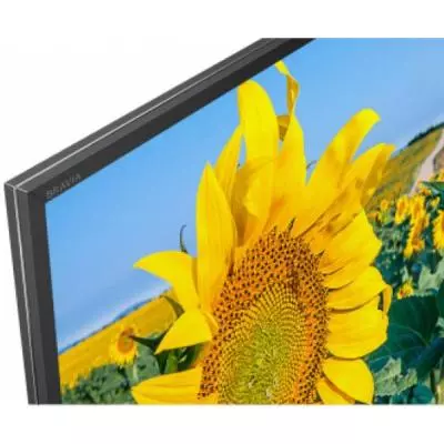 Телевизор Sony KD55XF8096BR2 - 3