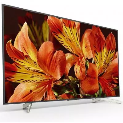 Телевизор Sony KD55XF8596BR2 - 1
