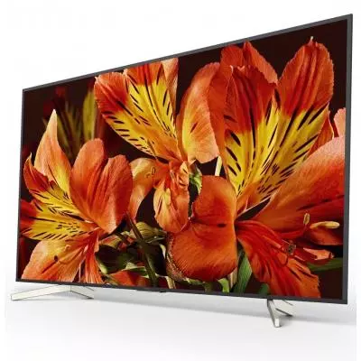 Телевизор Sony KD55XF8596BR2 - 2