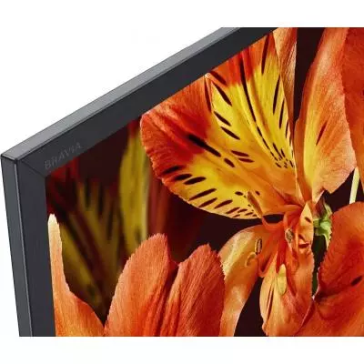 Телевизор Sony KD55XF8596BR2 - 5