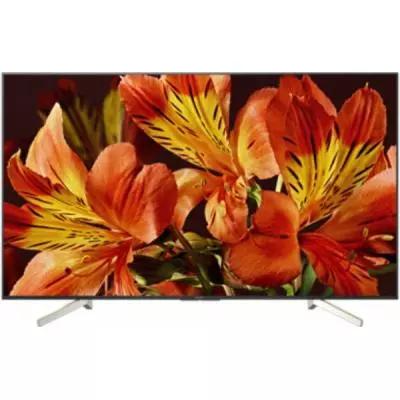 Телевизор Sony KD55XF8596BR2