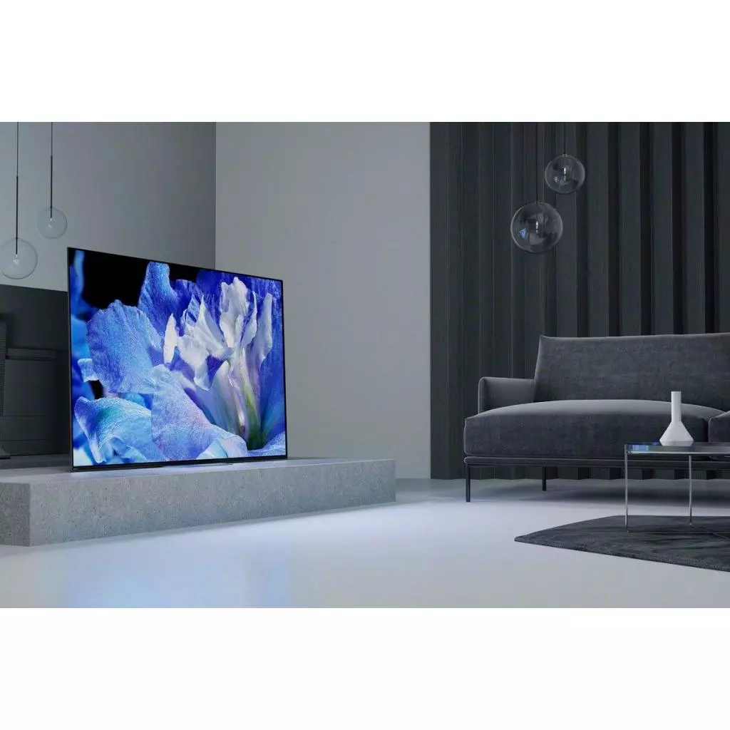 Телевизор Sony KD65AF8BR2 - 10 Телевизор Sony KD65AF8BR2 - 10