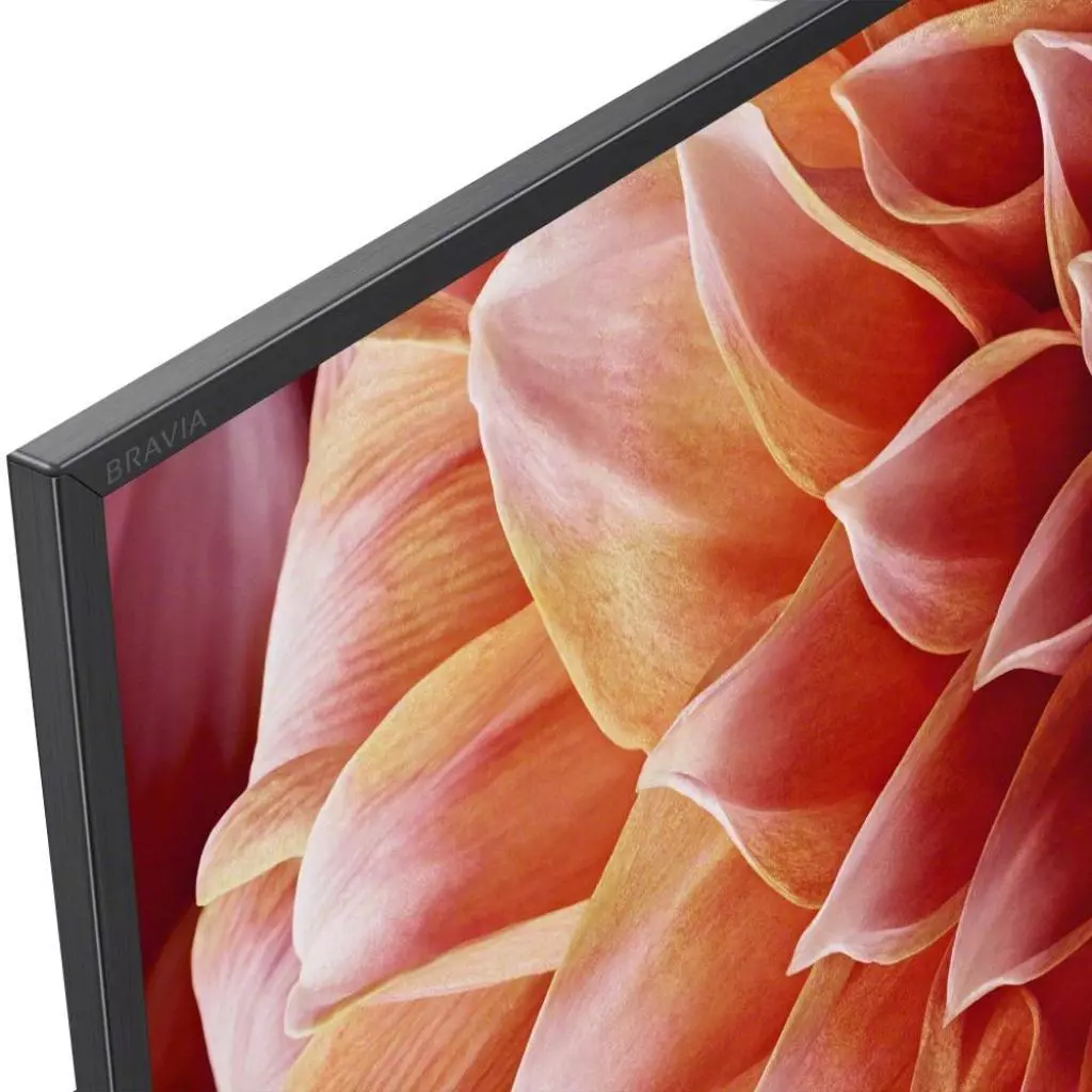 Телевизор Sony KD55XF9005BR2 - 7 Телевизор Sony KD55XF9005BR2 - 7
