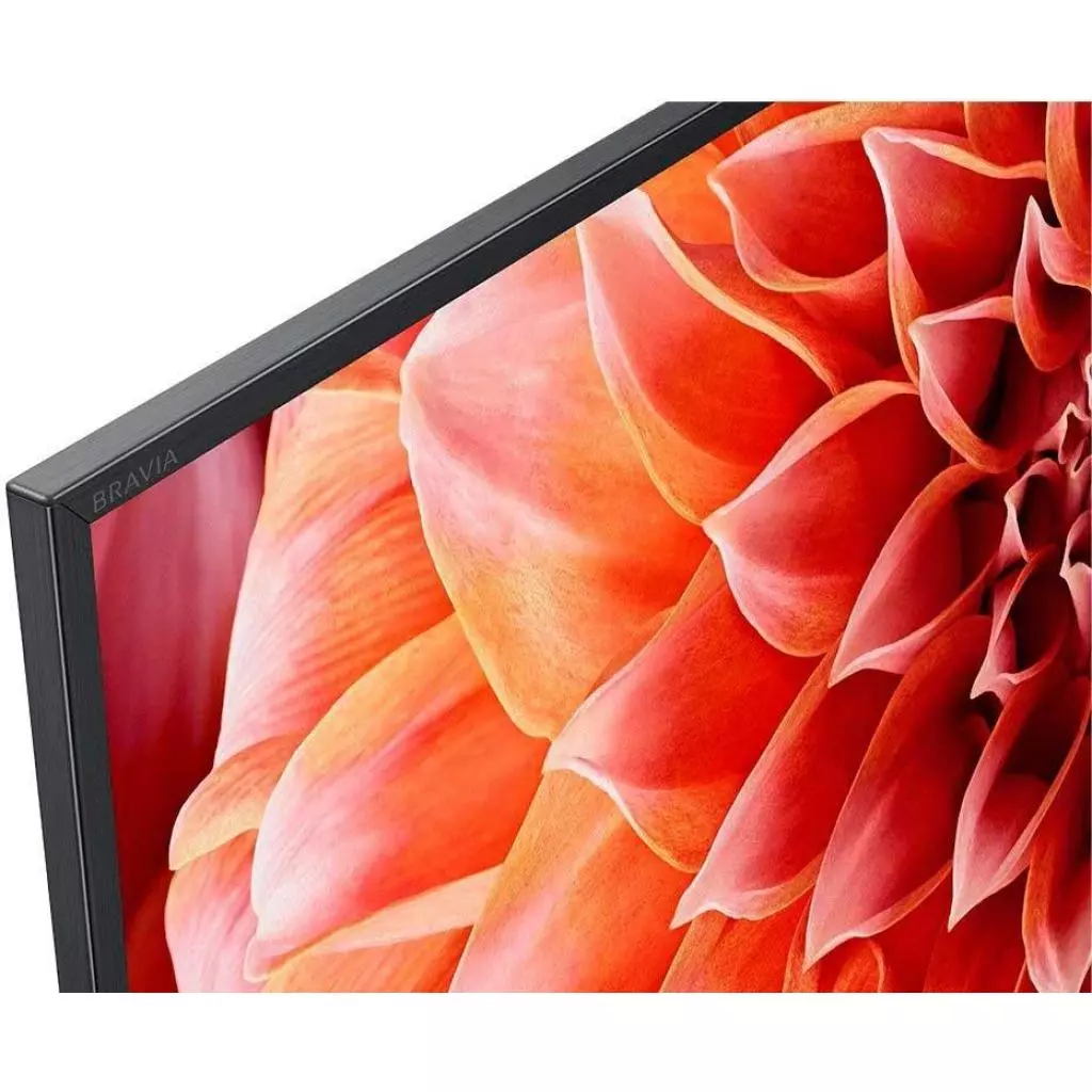 Телевизор Sony KD49XF9005BR2 - 5 Телевизор Sony KD49XF9005BR2 - 5