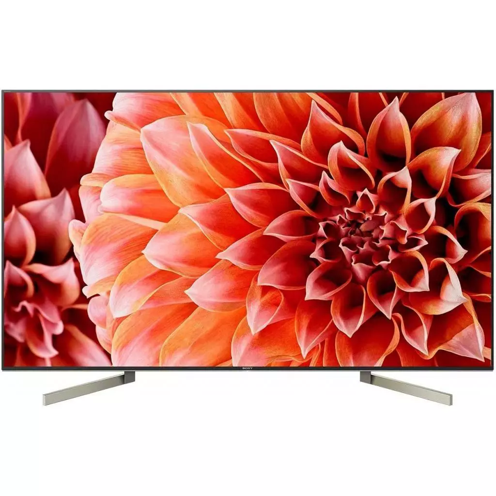 Телевизор Sony KD49XF9005BR2 Телевизор Sony KD49XF9005BR2
