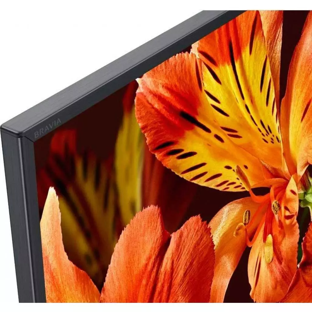 Телевизор Sony KD65XF8596BR2 - 5 Телевизор Sony KD65XF8596BR2 - 5