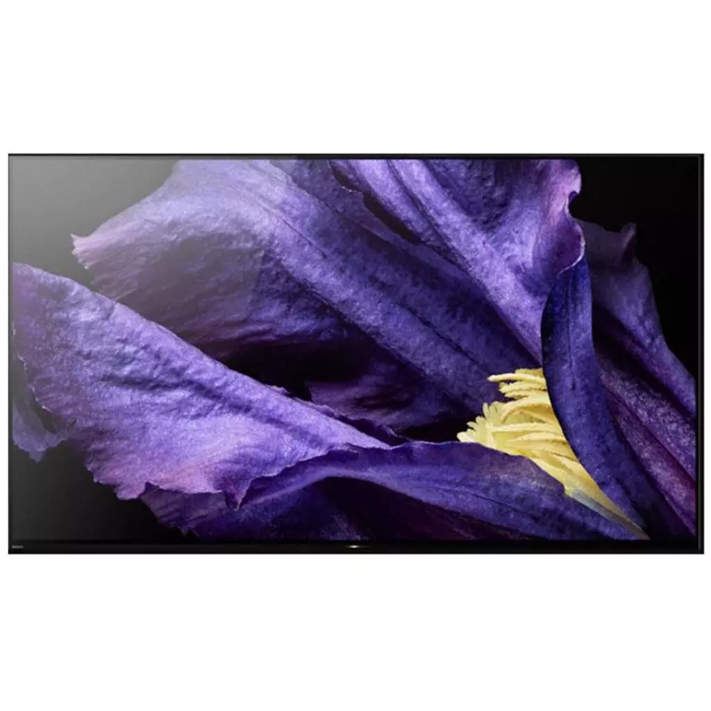 Телевизор Sony KD65AF9BR2