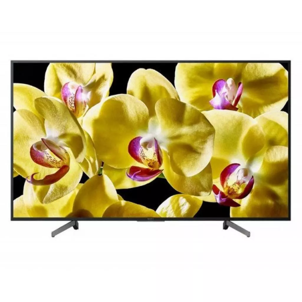 Телевизор Sony KD49XG8096BR