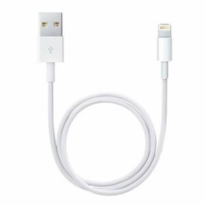 Дата кабель USB 2.0 AM to Lightning 0.5m Apple (ME291ZM/A)