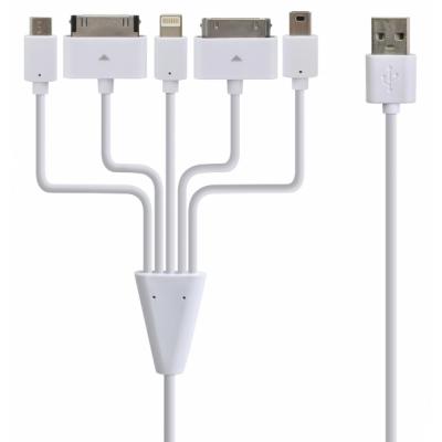 Дата кабель InnoAX USB 2.0 Lightning charge/sync cable + 4 type charge (CH-USB-C5) - 1 Дата кабель InnoAX USB 2.0 Lightning charge/sync cable + 4 type charge (CH-USB-C5) - 1