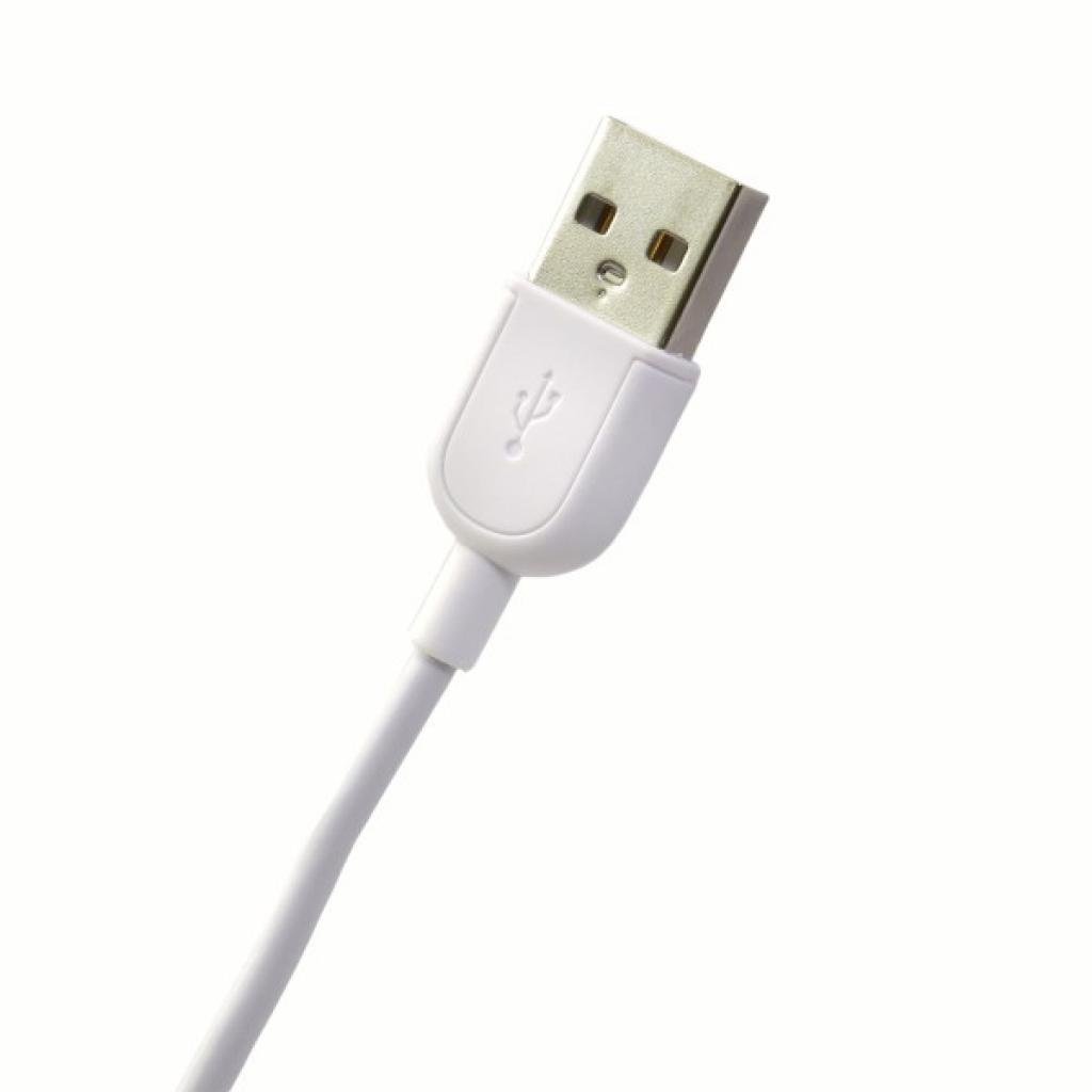 Дата кабель USB 2.0 AM to Lightning 1.0m JCPAL (JCP6022) - 1 Дата кабель USB 2.0 AM to Lightning 1.0m JCPAL (JCP6022) - 1