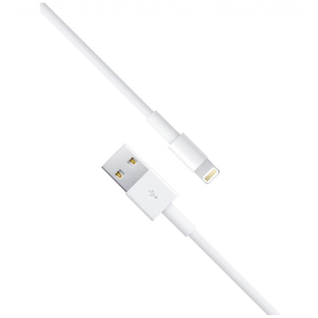 Дата кабель USB 2.0 AM to Lightning 1.0m Florence (DC10-IPH6) - 2
