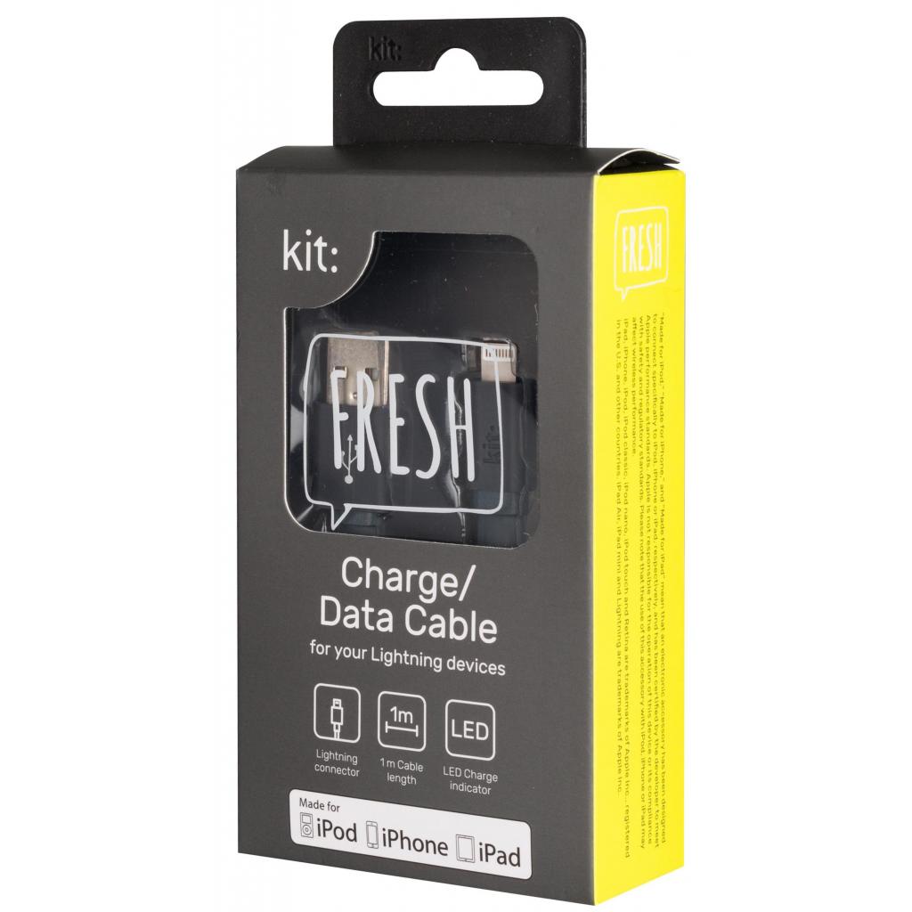 Дата кабель USB 2.0 AM to Lightning 1.0m Kit (IP5USBFRESHGY) - 3