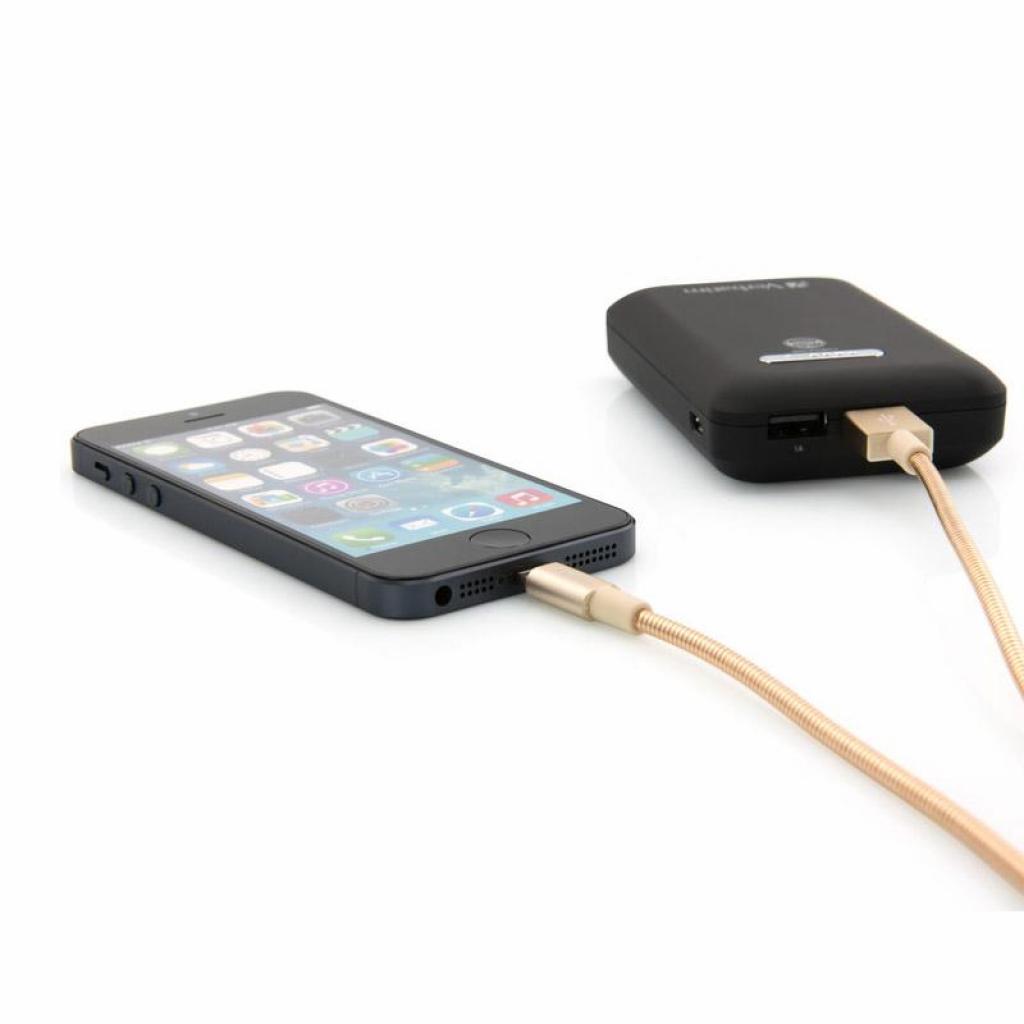 Дата кабель USB 2.0 AM to Lightning 1.0m gold Verbatim (48861) - 3 Дата кабель USB 2.0 AM to Lightning 1.0m gold Verbatim (48861) - 3