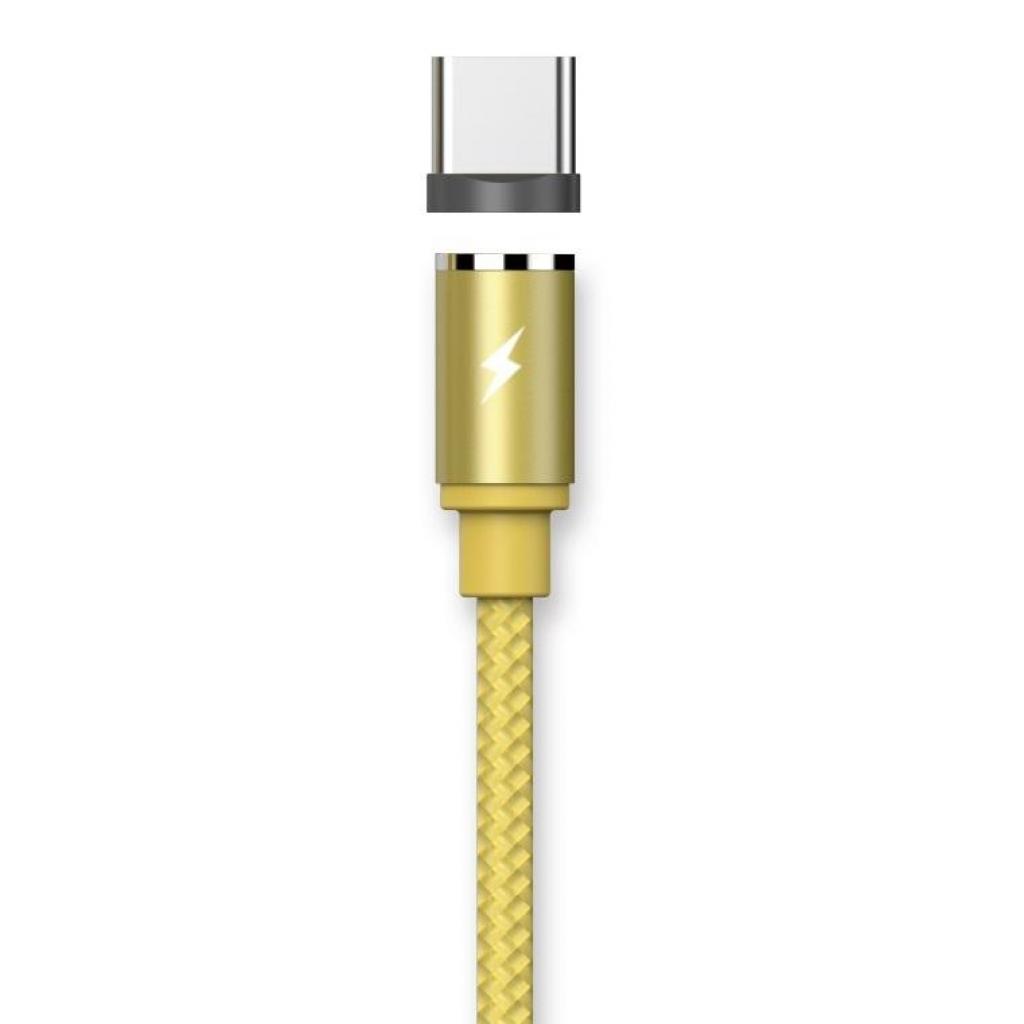 Дата кабель USB 2.0 AM to Type-C 1.0m Gravity series Magnetic gold Remax (RC-095A-GOLD) - 1