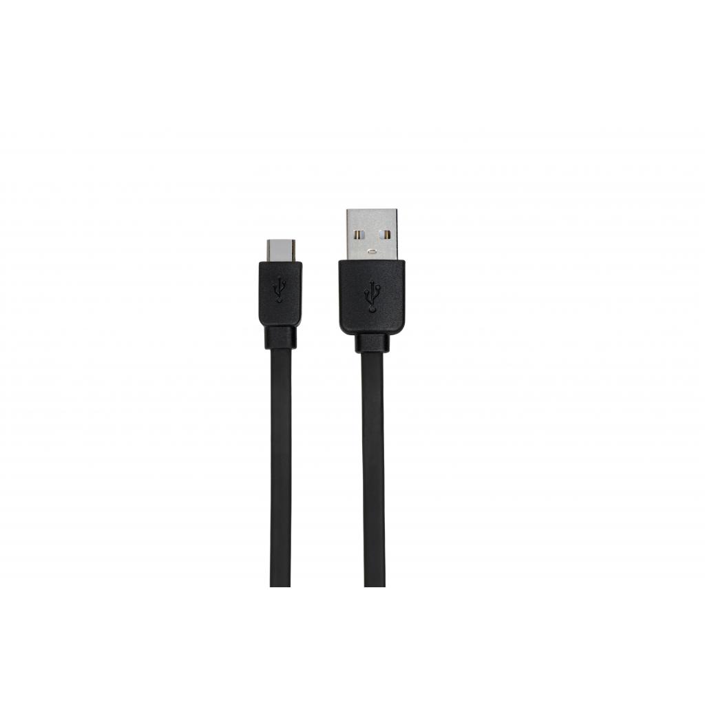 Дата кабель USB 2.0 AM to Type-C 1.0m Flat Single Molding Type, Black 2E (2E-CCTPVC-1MBL)