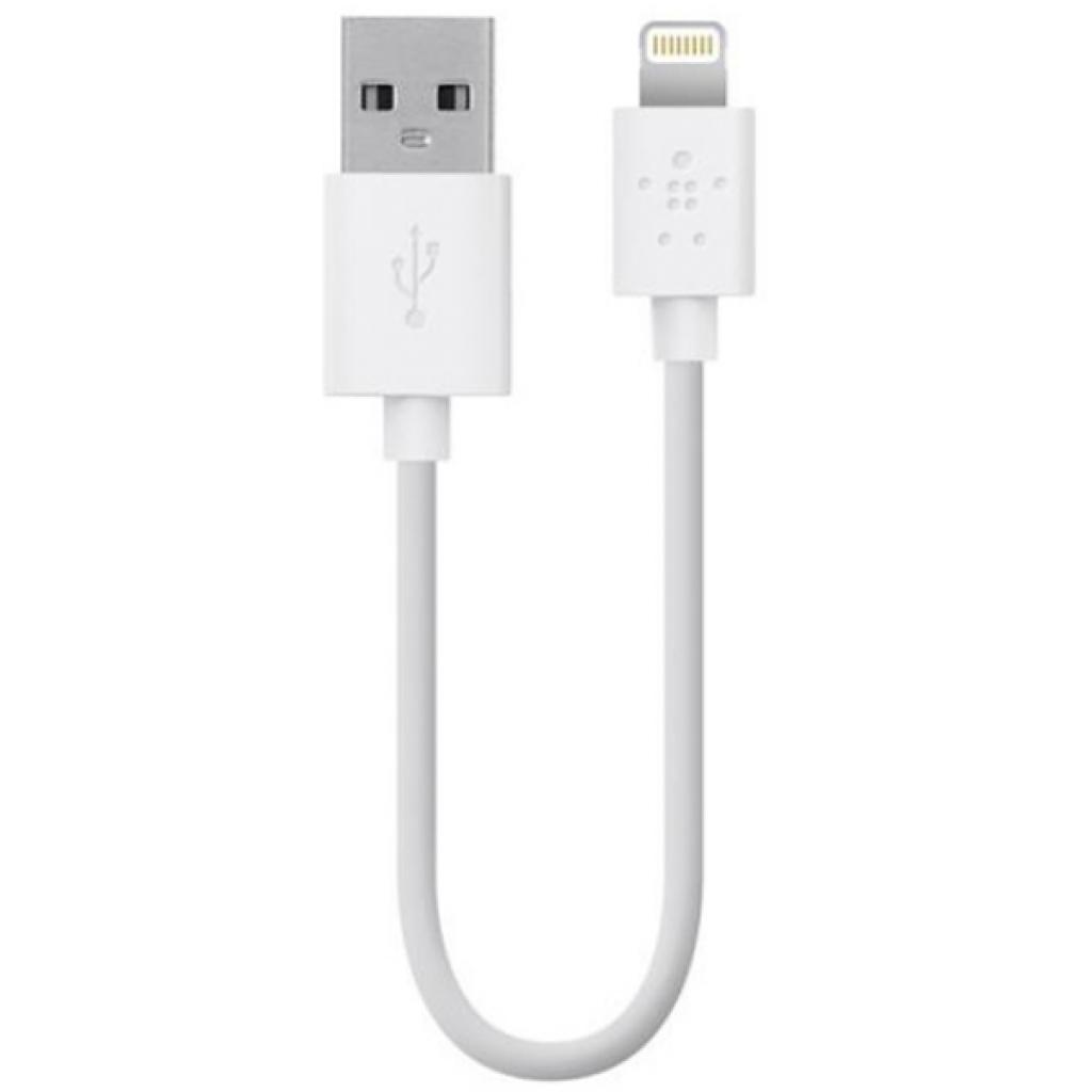 Дата кабель USB 2.0 AM to Lightning 0.15m white Belkin (F8J023BT06INWHT)