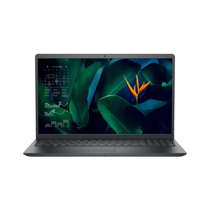 Ноутбук Dell Vostro 3515 (N6262VN3515UA_WHOM)