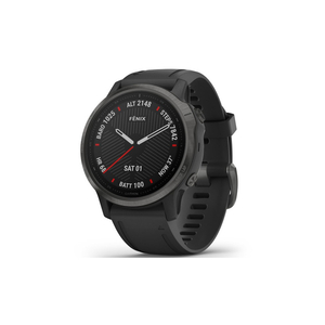 Смарт-часы Garmin fenix 6S Sapphire, Carbon Grey DLC w/Blk Band (010-02159-25)